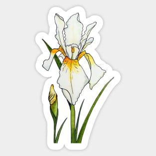 Iridescent Iris Sticker